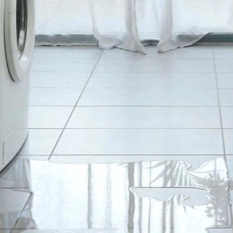 Appliance Leak Cleanup in Big Bend, WI