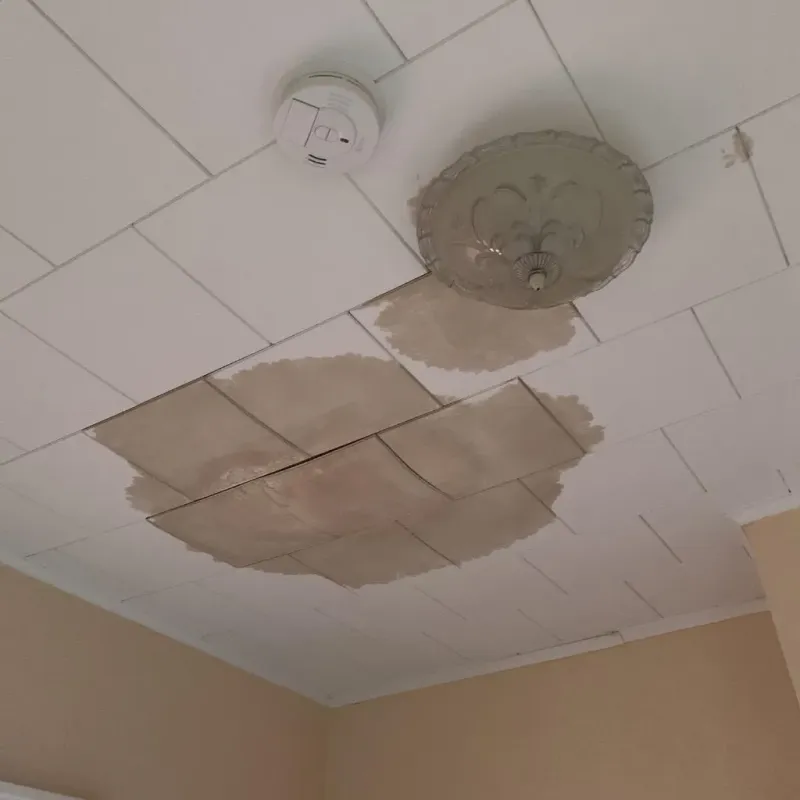 Ceiling Water Damage Repair in Big Bend, WI