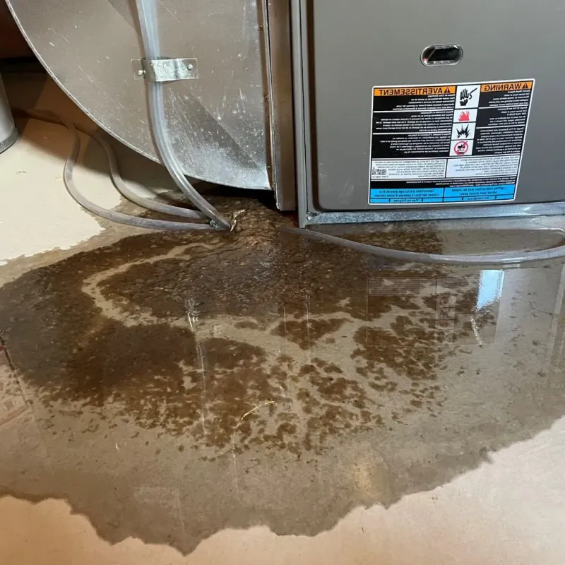 Pipe Burst and Leak Restoration in Big Bend, WI