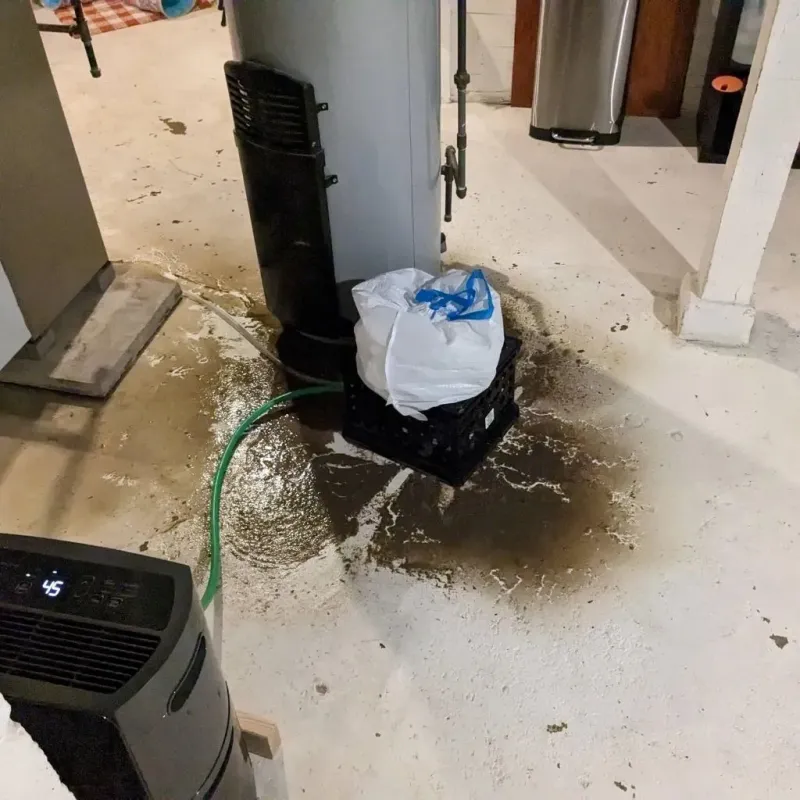 Sewage Backup Cleanup Service in Big Bend, WI